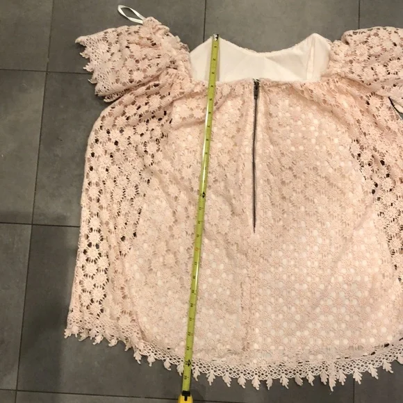 Telarosa Embroidered Mini Dress - Picture 9 of 10